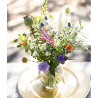 Wild Flowers