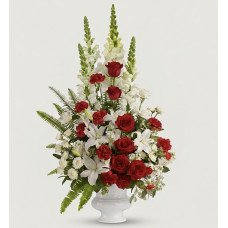 In Loving Memory Tribute