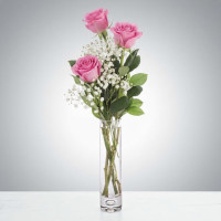 Rosy Posy 