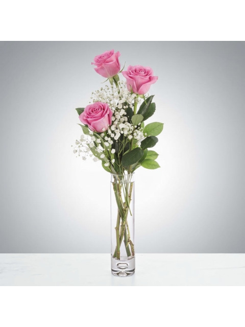 Rosy Posy Rosy Posy
