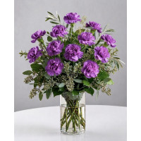 Royal Purple Carnations 
