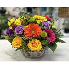Vibrant Blooms  Vibrant Blooms