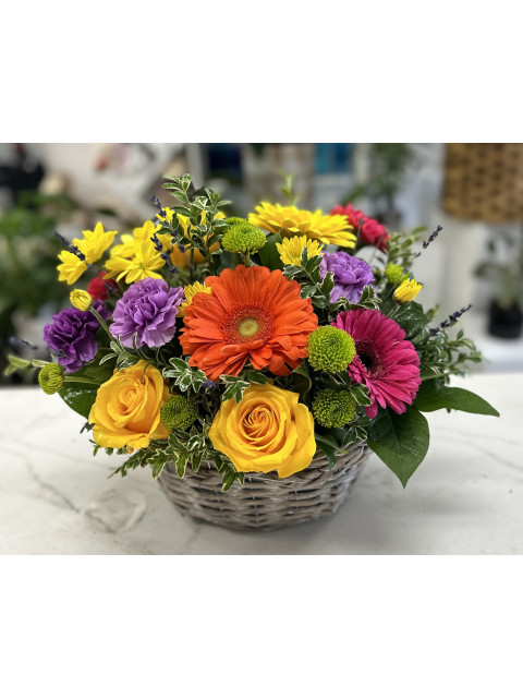 Vibrant Blooms  Vibrant Blooms