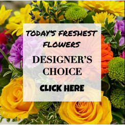Designer's Choice