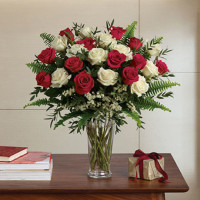 Red & White Roses