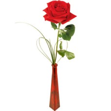 Single Red Rose 