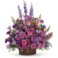 Lavender Dreams 