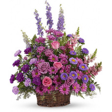 Lavender Dreams  Lavender Dreams