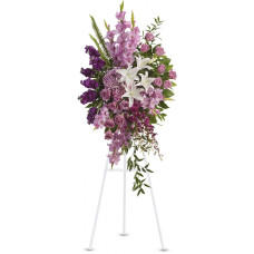 Lavender Tribute  Lavender Tribute