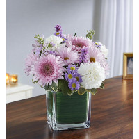 Lavender Fields Lavender Fields