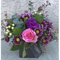 Blush (BestSeller)