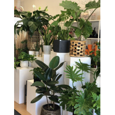 Call To See Which Is In Stock  Call To See Which Is In Stock